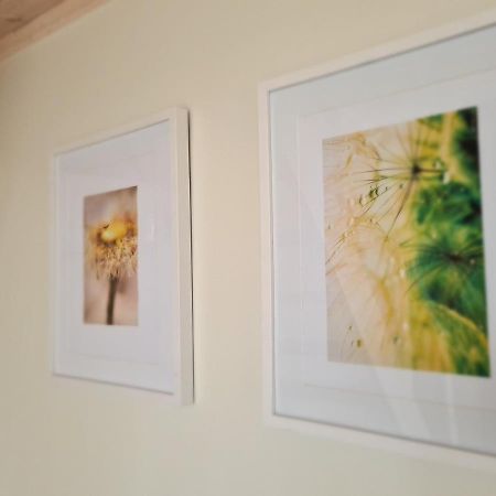 Ciki Puki Apartamentai Pienes Pukas Połąga Zewnętrze zdjęcie