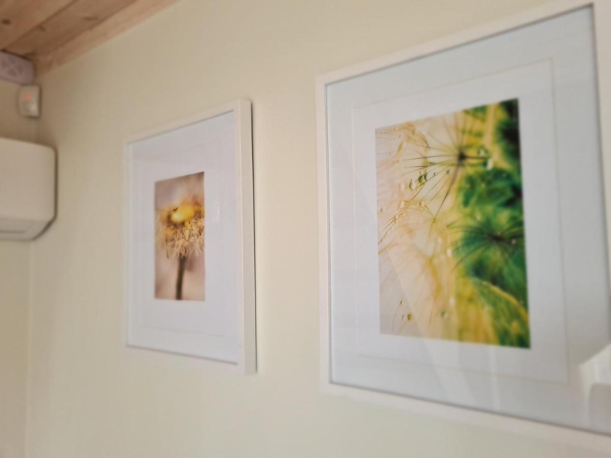 Ciki Puki Apartamentai Pienes Pukas Połąga Zewnętrze zdjęcie